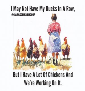 FB_IMG_1745981651307.jpg
