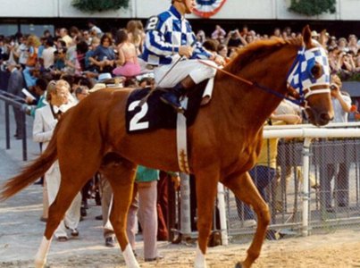 secretariat_belmont.jpg