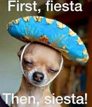 FB_IMG_1746497538298.jpg