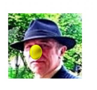 hc2.jpg