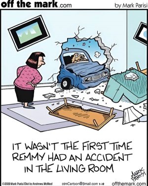 dogaccidentjoke.jpg