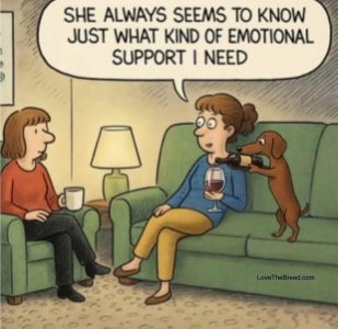 dogwinesupportfunny.jpg
