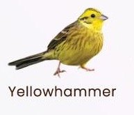 IMG_9579.jpeg