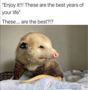 FB_IMG_1746253480628.jpg