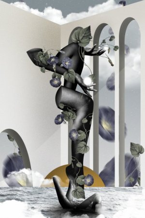 serentity-compressed2.jpg