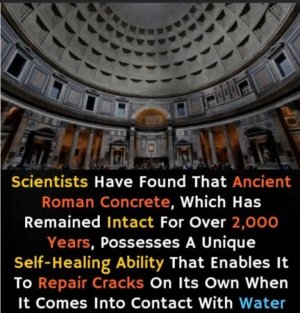 1000005098.jpg