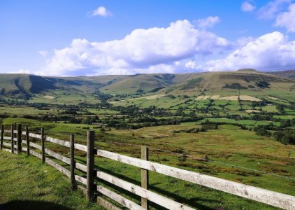 green landscape2.jpg