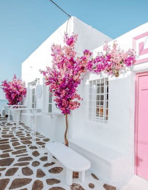 pink-paros-greece.jpg