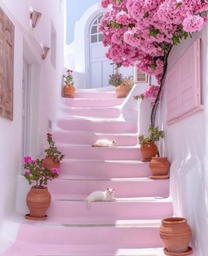 pink stairs.jpg