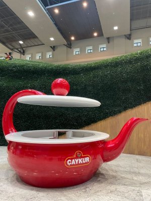 teapot red open lid.jpg