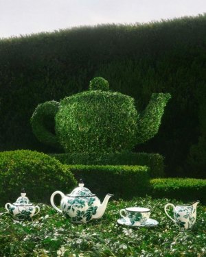 teapot hedge 3.jpg