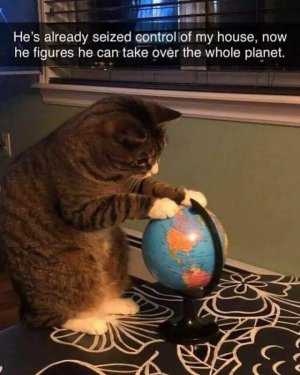 FB_IMG_1746765905719.jpg