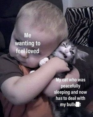 funny-cat-memes-purrgattos-25-681310e216b39__700.jpg