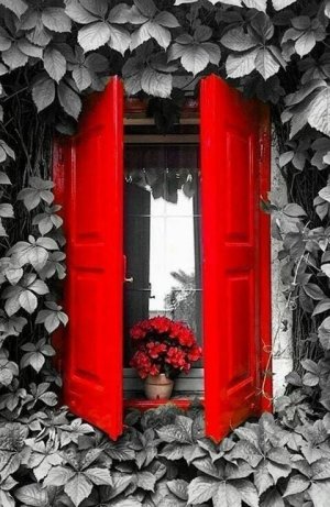 red shutters.jpg