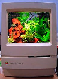IMG_0071.jpeg
