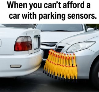 1746880713510.jpeg
