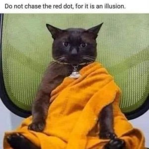 4d71909e02ed7b91.jpeg