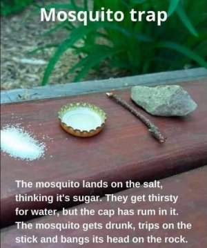 FB_IMG_1746669385022.jpg