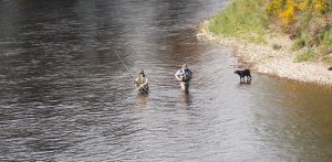 angler1.jpg