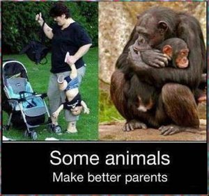 some parents.jpg