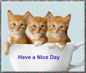have a nice day.jpg