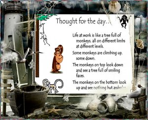 Thought for today monkeys.jpg