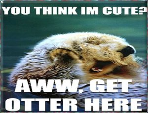 otter1.jpg