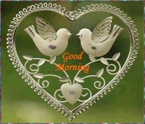 Good Morning Birds 97.jpg