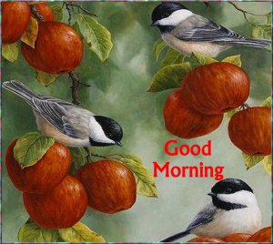 Good Morning Apples.jpg