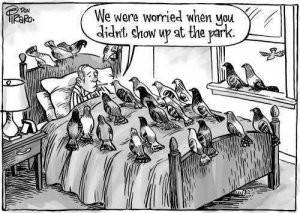 for the birds.jpg