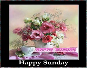 happy-sunday.15.6.jpg