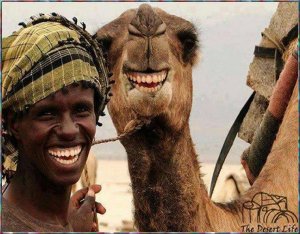 camel1.jpg