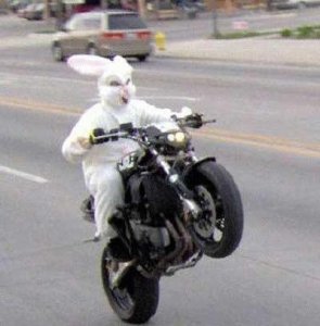 Bunny wheel.jpg