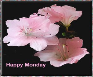 Happy Monday.jpg
