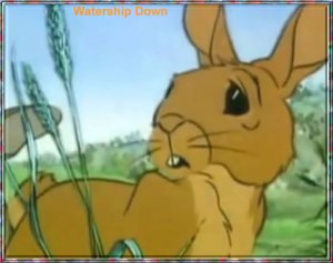 Bright Eyes Picture.jpg