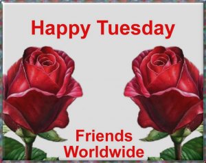 Happy Tuesday.Friends Worldwide.jpg