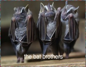 Bat Brothers.jpg