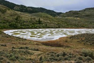 spotted lake Osoyoos british columbia canada 6.jpg
