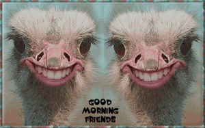 Good Morning BirdTest.gif