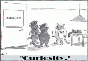 curiosity.1.gif