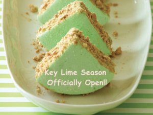 key-lime-pie-marshmallows_456X342.jpg