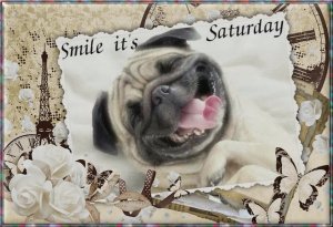 Saturday Smile.jpg