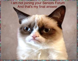 grumpy-cat3.jpg grumpy-cat3.jpg