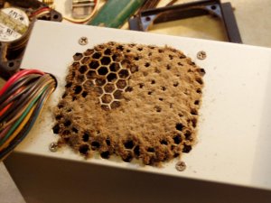 Dirty PC 004.jpg