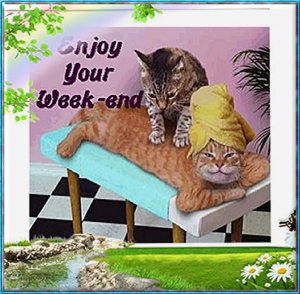 enjoy your weekend.jpg
