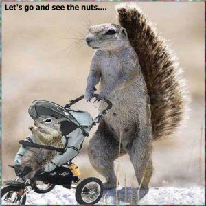squirreldad.jpg