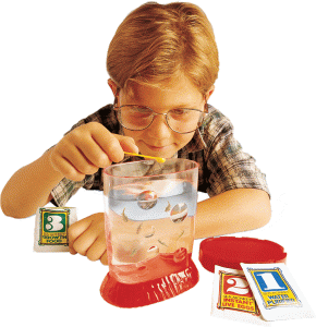sea-monkeys-ocean-zoo.gif