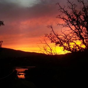 Sunset1.jpg