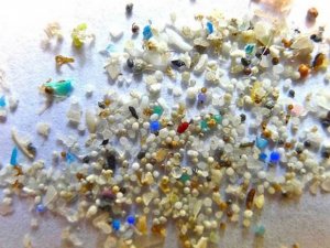 14microbeads.jpg 14microbeads.jpg