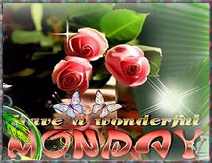 Happy Monday Flowers.001.jpg